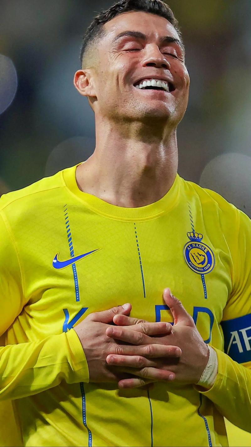 葡萄牙队豪取主场胜利,让人刮目相看的简单介绍 葡萄牙队豪取主场胜利,让人刮目相看的简单介绍