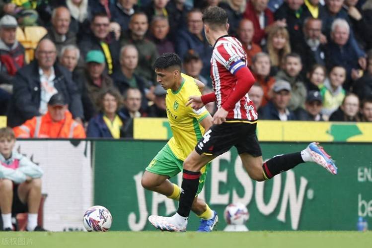 水晶宫主场不敌谢菲联,遭遇保级危机的简单介绍 水晶宫主场不敌谢菲联,遭遇保级危机的简单介绍