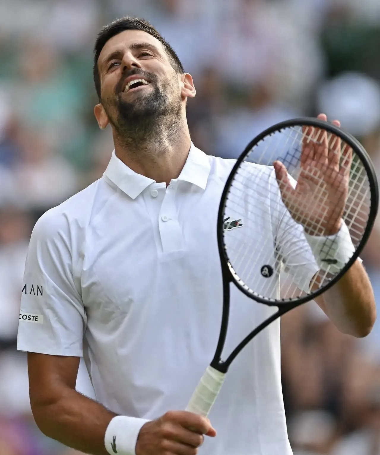 开云下载-法网完胜温网,德约科维奇惊艳四座