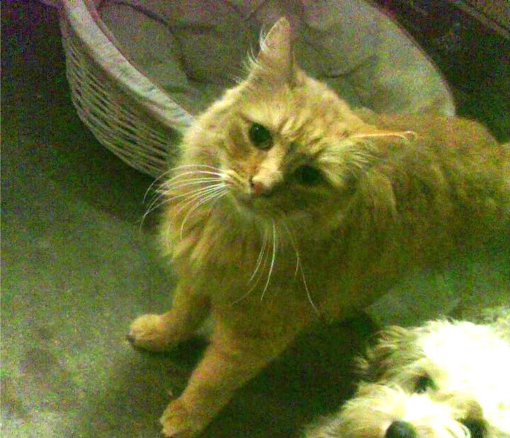 双王对决，当心跳归零，保罗推开时空之门