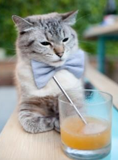 唯一性战术剖析马丁内利,当佛罗伦萨的红色,终结了阿根廷的蓝白幻象