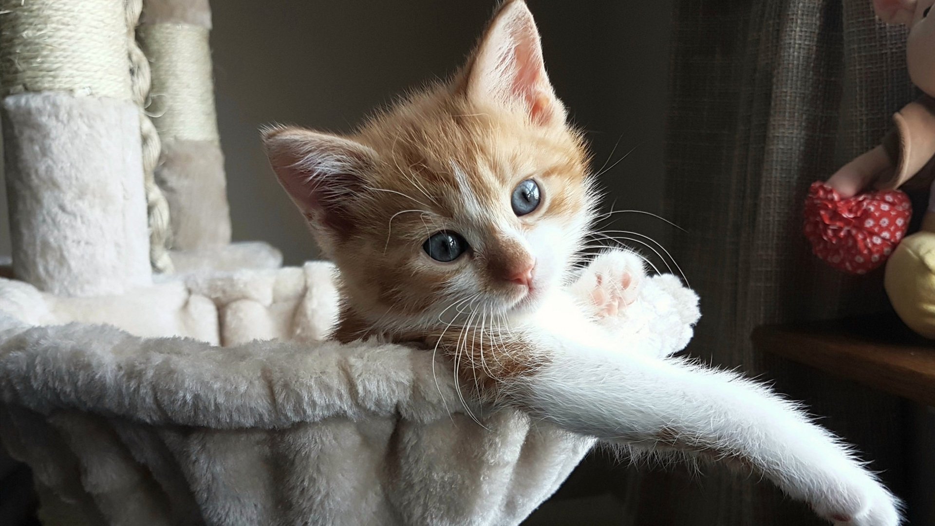 季后赛抢七之夜，杜兰特数据全面爆炸，谱写篮球神迹独角戏