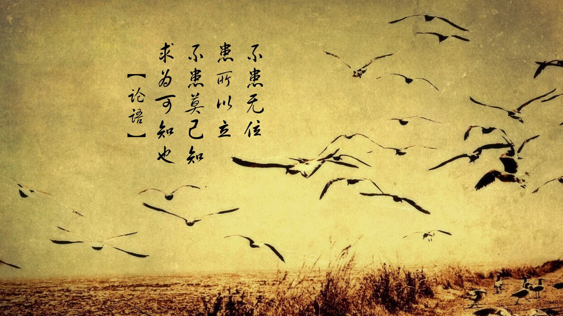 独家战术复盘手术刀vs豆腐渣，奥亚尔萨瓦尔如何完成对曼联防线的外科解剖