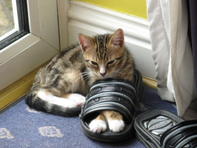 欧冠淘汰赛之夜，当布伦森的纪录与足球的疯狂同频，所有伟大都源于必败的绝境