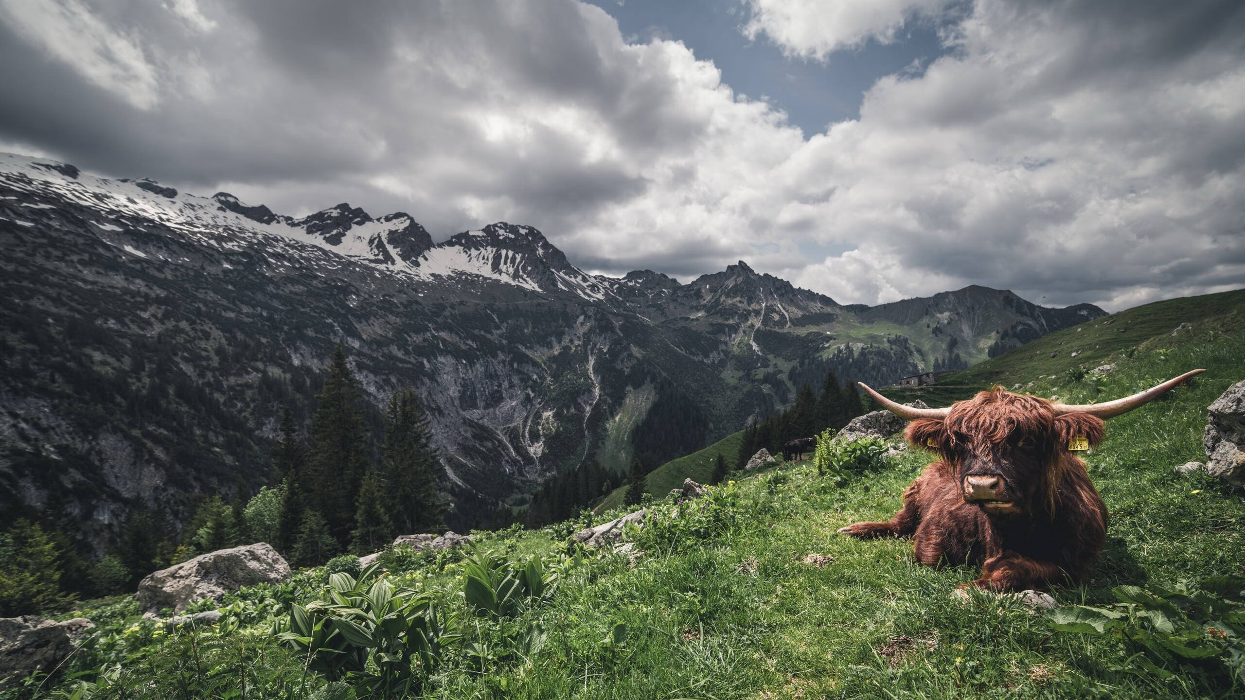 思维扩展,可能的文章标题