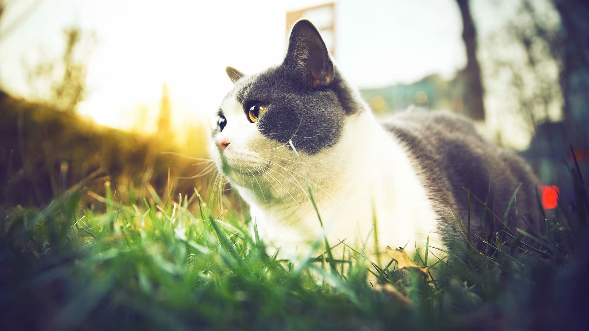 天山飞雪映寒刃，白山黑土葬惊雷，新疆队险胜吉林，詹姆斯最后3秒定乾坤