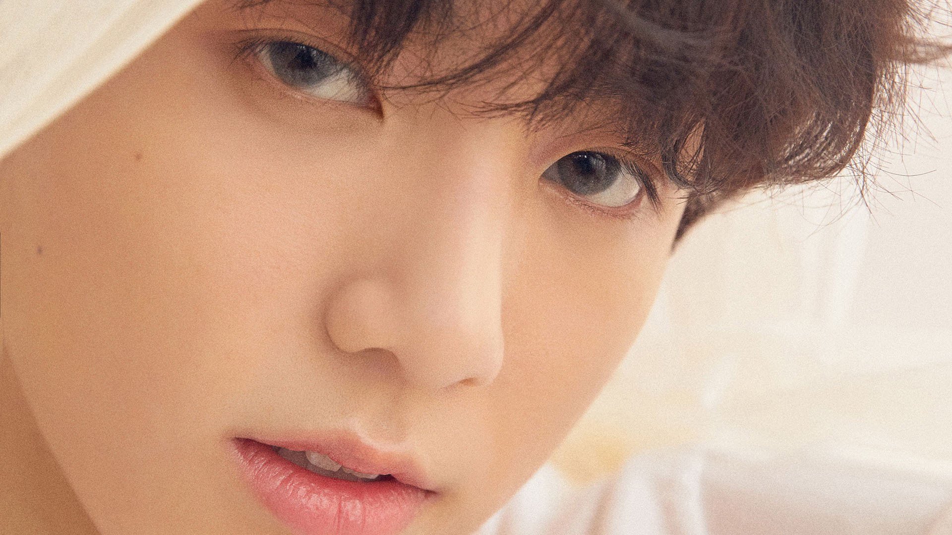 开云体育APP下载-金玟哉闪耀防线，葡萄牙战术大网让威尔士束手就擒