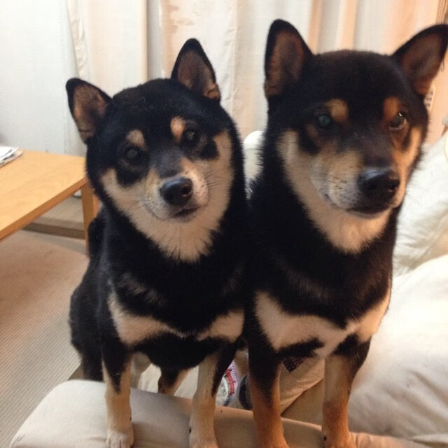 绝杀！挪威在加时赛血腥争夺中惊险击退玻利维亚