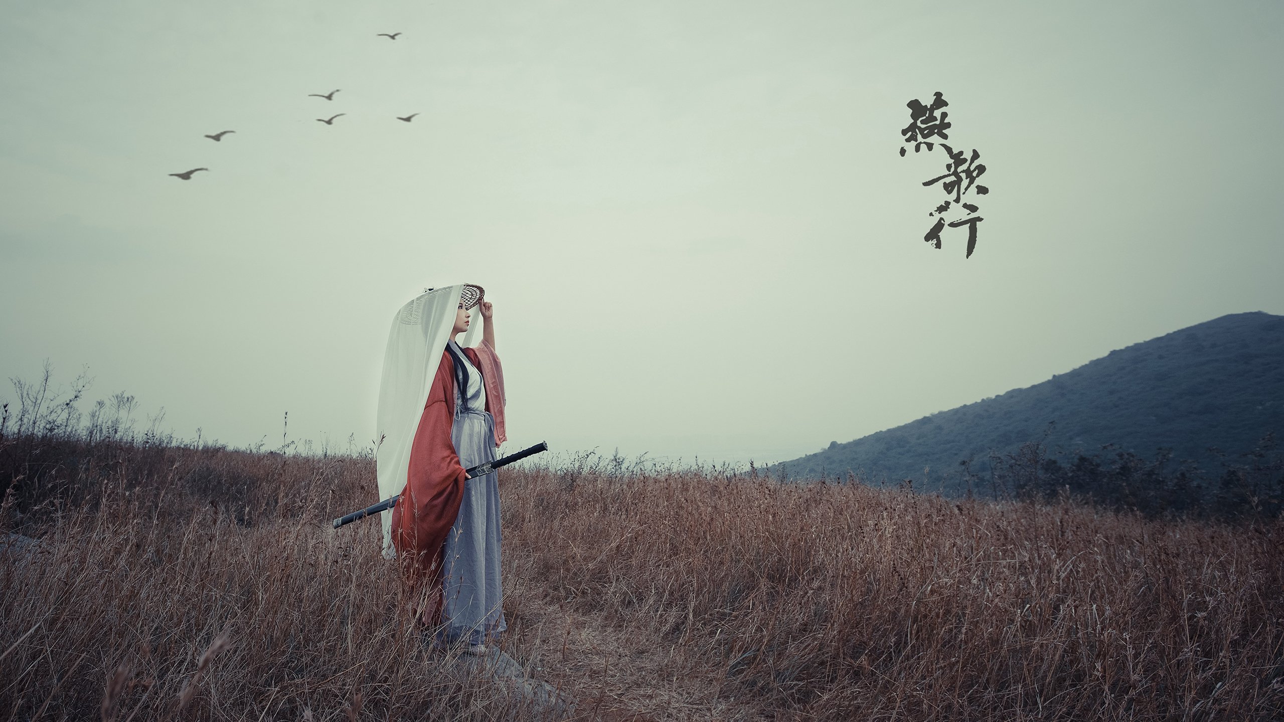 开云APP-关键先生小贾伦,热火逆境中力擒活塞锁定胜局