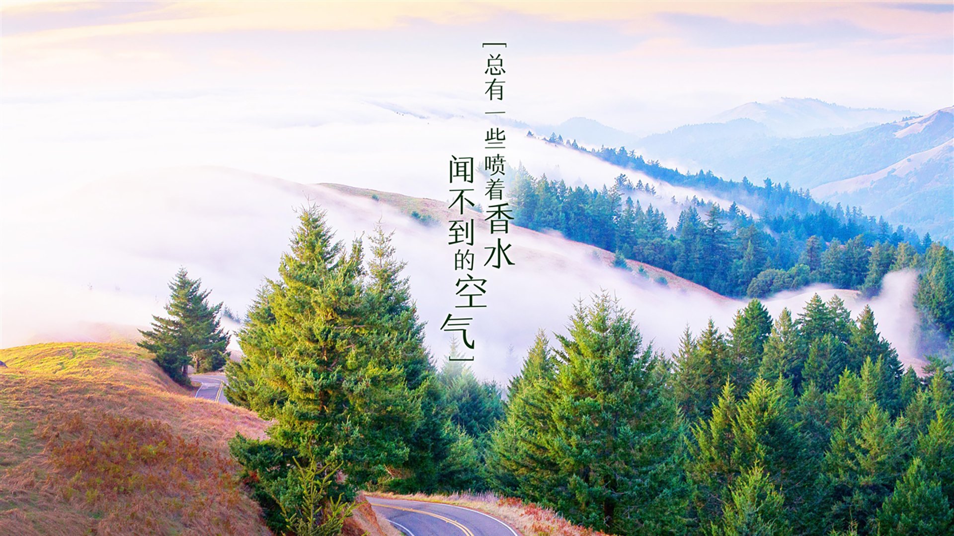 开云体育app-一己之戟，掀翻欧联之王，黄喜灿与摩纳哥的非对称胜利