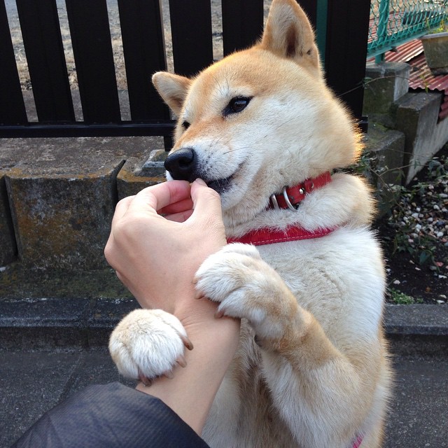 (方案一)