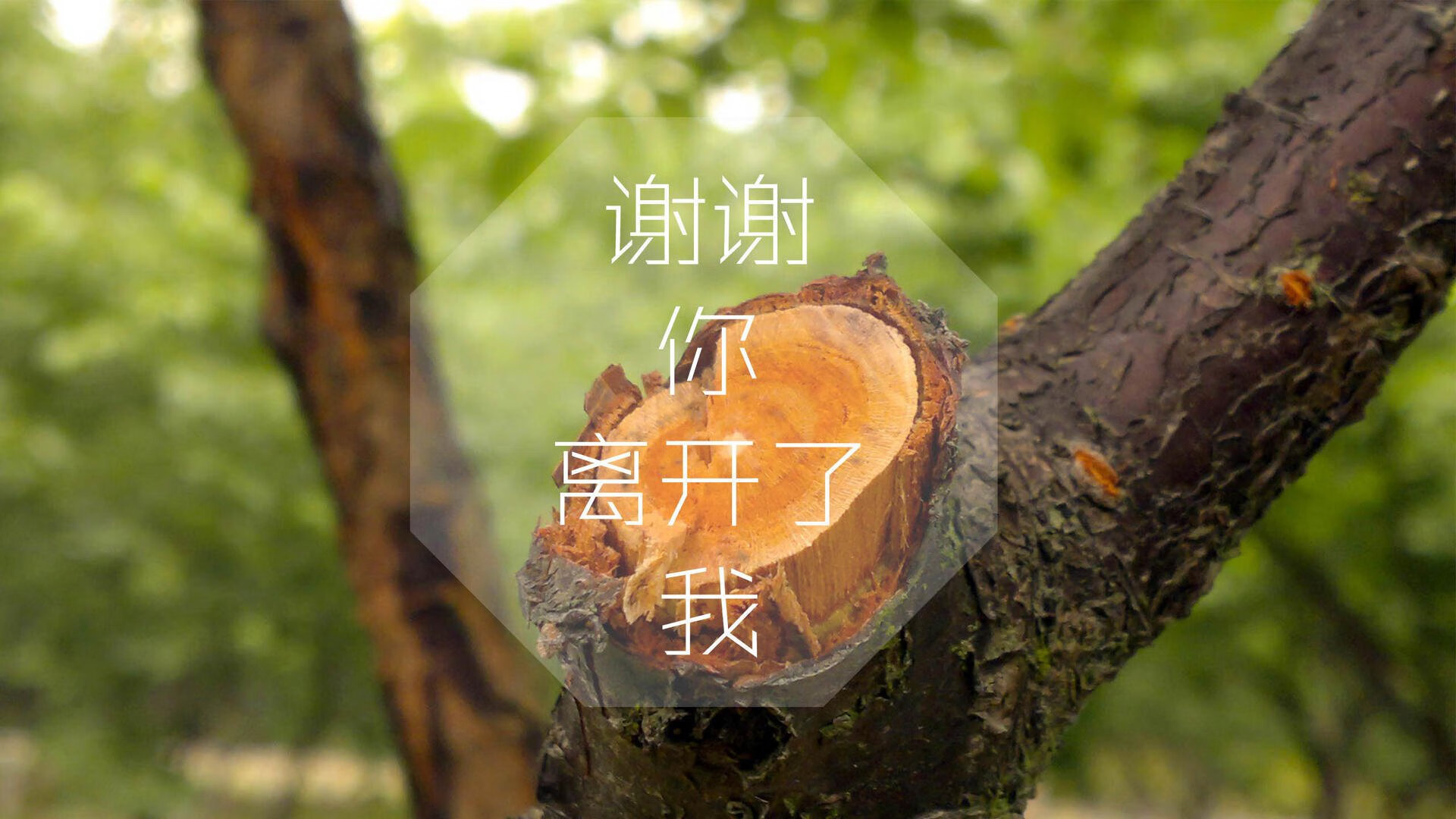 唯一之境,当欧冠的圣杯染上热火的硝烟—一场跨越时空的生死交响