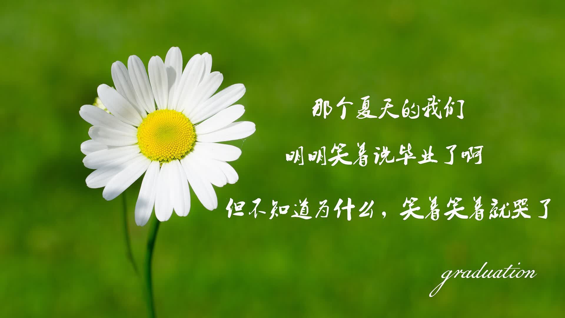 开云体育app-2026世界杯生死战,日本碾压阿联酋,拉什福德致命一击锁定胜局,一场节奏如刀的巅峰对决